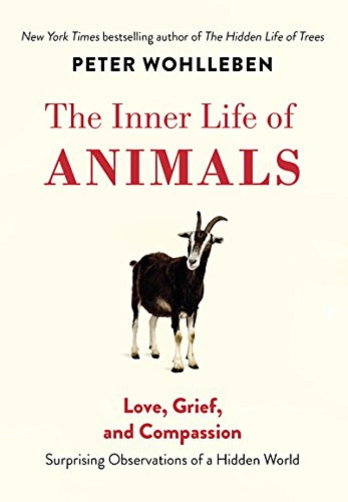 Peter Wohlleben / The Inner Life of Animals (Hardback)