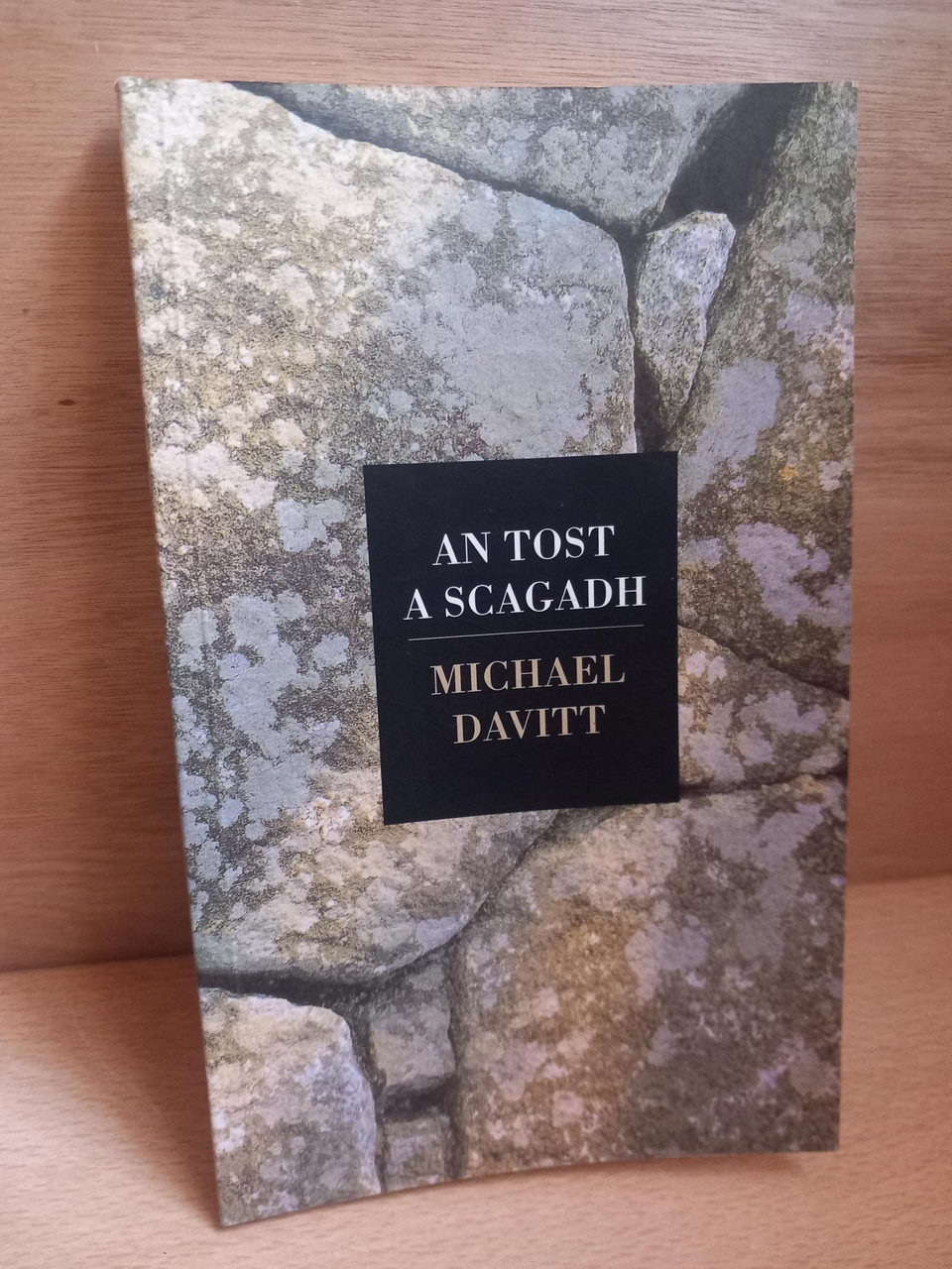 Michael Davitt - An Tost ag Scagadh - PB - Filíocht