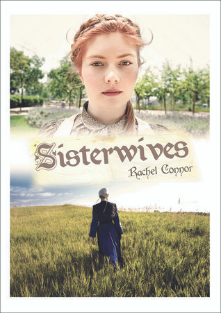 Rachel Connor / Sisterwives (Large Paperback)