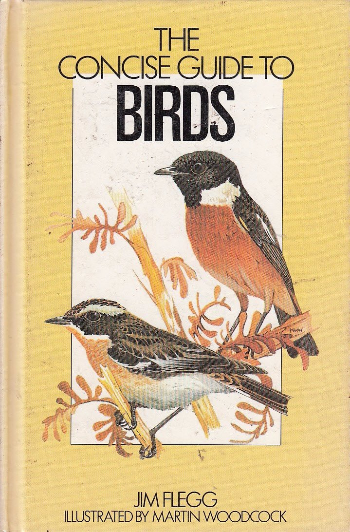 Jim Flegg / The Concise Guide to Birds (Hardback)