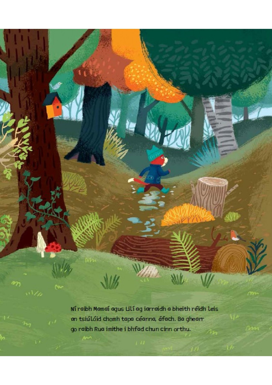 Sadhbh Devlin & Brian Fitzgerald - Amuigh Faoin Spéir - PB - As Gaeilge - BRAND NEW 2022