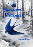 Jerome Kiely / Swallows in December (Large Paperback)