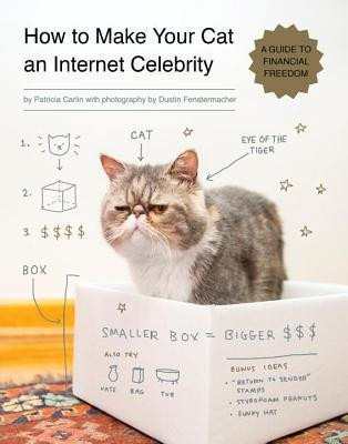 Patricia Carlin / How to Make Your Cat an Internet Celebrity (Large Paperback)