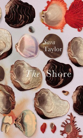 Sara Taylor / The Shore (Hardback)