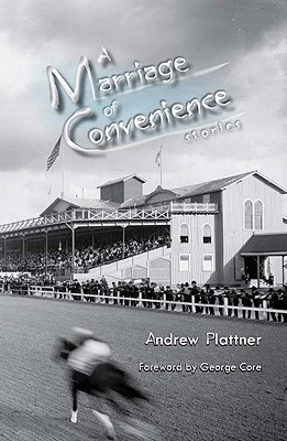Andrew Plattner / A Marriage of Convenience: stories (Large Paperback)