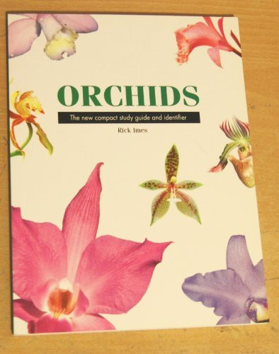 Rick Ines / Orchids (Large Paperback)