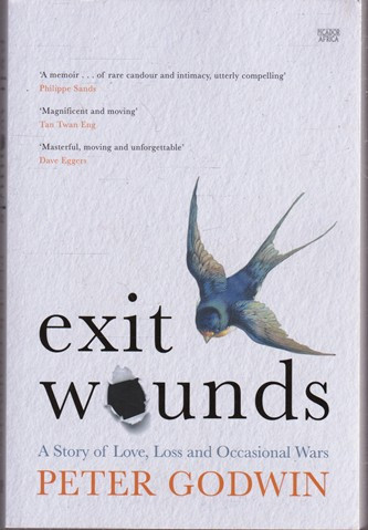 Peter Godwin / Exit Wounds (Large Paperback)