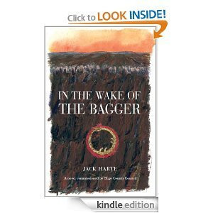 Jack Harte / In the Wake of the Baggar (Large Paperback)