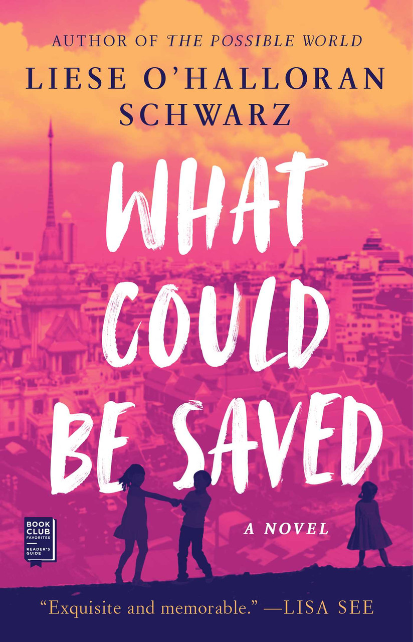 Liese O'Halloran Schwarz / What Could Be Saved (Large Paperback)