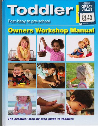 Haynes Manual: Toddler: Owners Workshop Manual