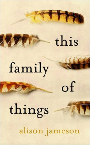 Alison Jameson / This family of things (Large Paperback)