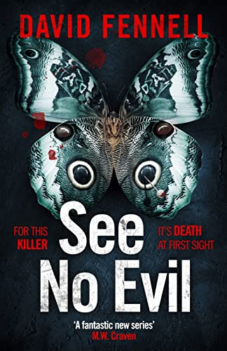 David Fennell / See No Evil (Large Paperback)