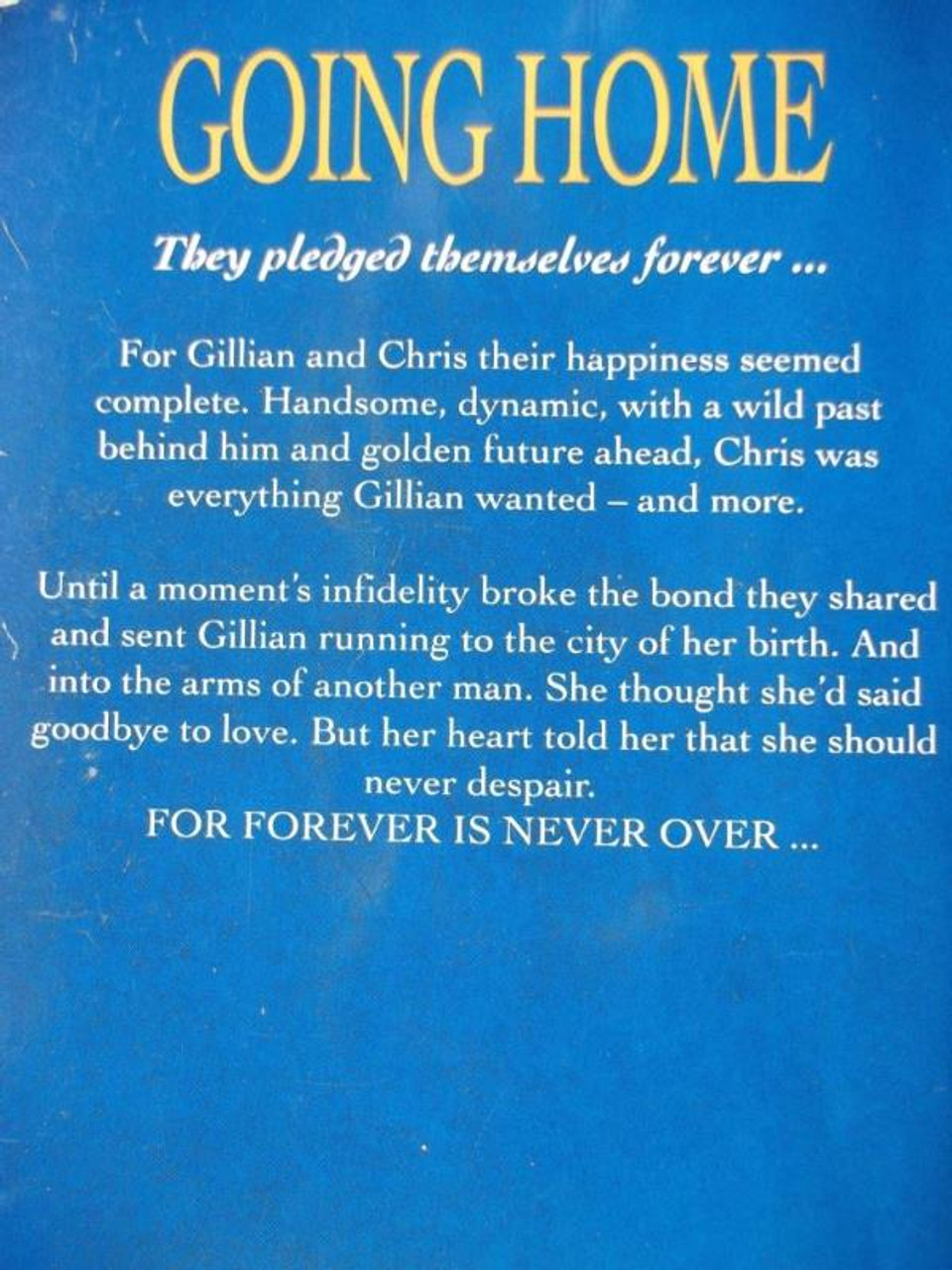 Danielle Steel / Going Home