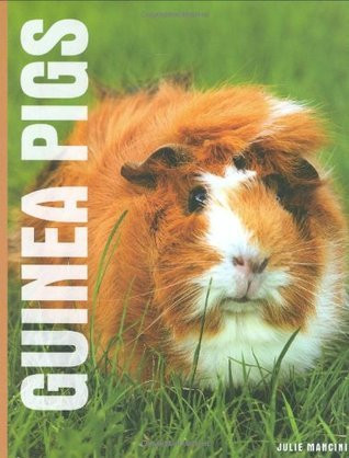 Julie Rach Mancini / Guinea Pigs (Coffee Table Book)