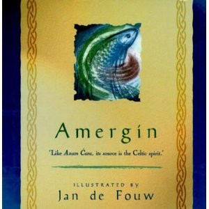 Jan de Fouw  (Illustrator) / Amergín (Hardback)