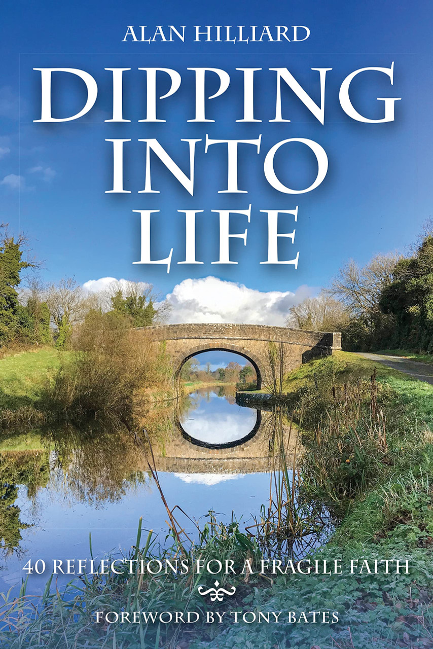 Alan Hilliard / Dipping into Life (Large Paperback)