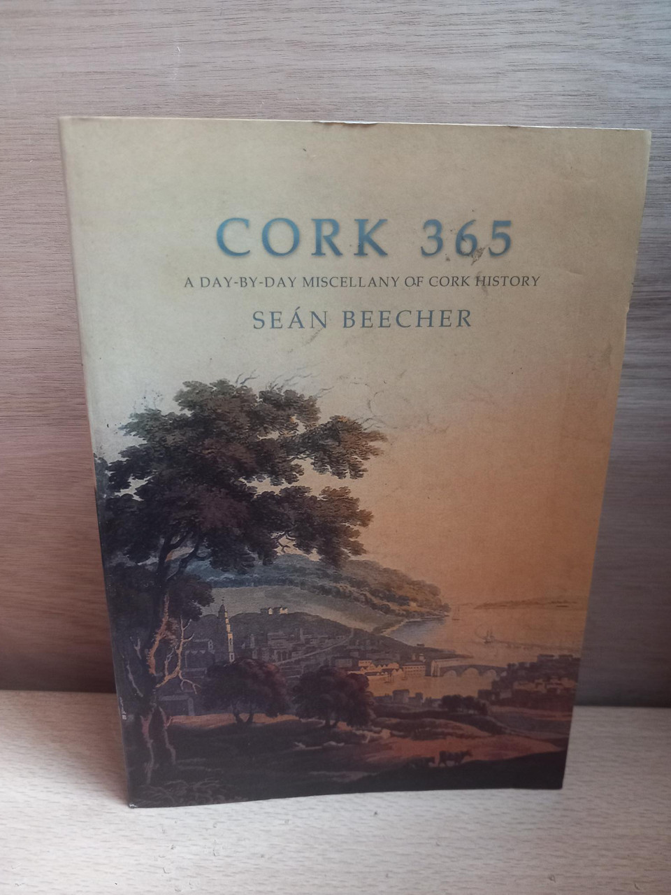 Seán Beecher - Cork 365 : A Day by Day Miscellany of Cork History - PB - 1992