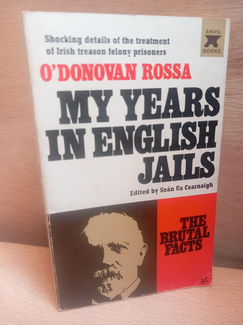 Jeremiah O'Donovan Rossa - My Years in English Jails - Anvil PB Reprint 1967