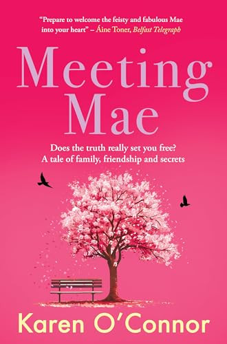 Karen O'Connor / Meeting Mae (Large Paperback)