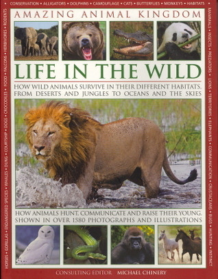 Michael Chinery / Life in the Wild (Coffee Table Book)