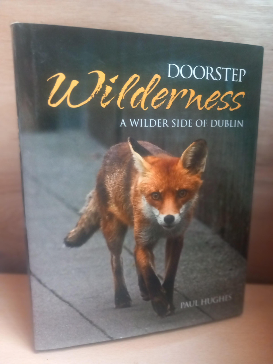 Paul Hughes - Doorstop Wilderness - A Wilder Side of Dublin - HB