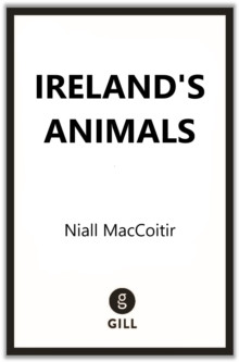 Final cover image to follow