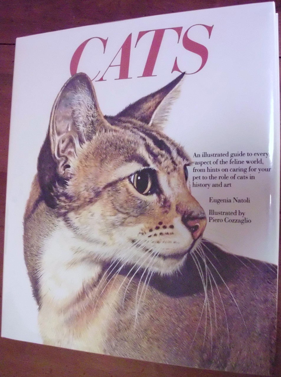 Eugenia Natoli / Cats (Coffee Table Book)