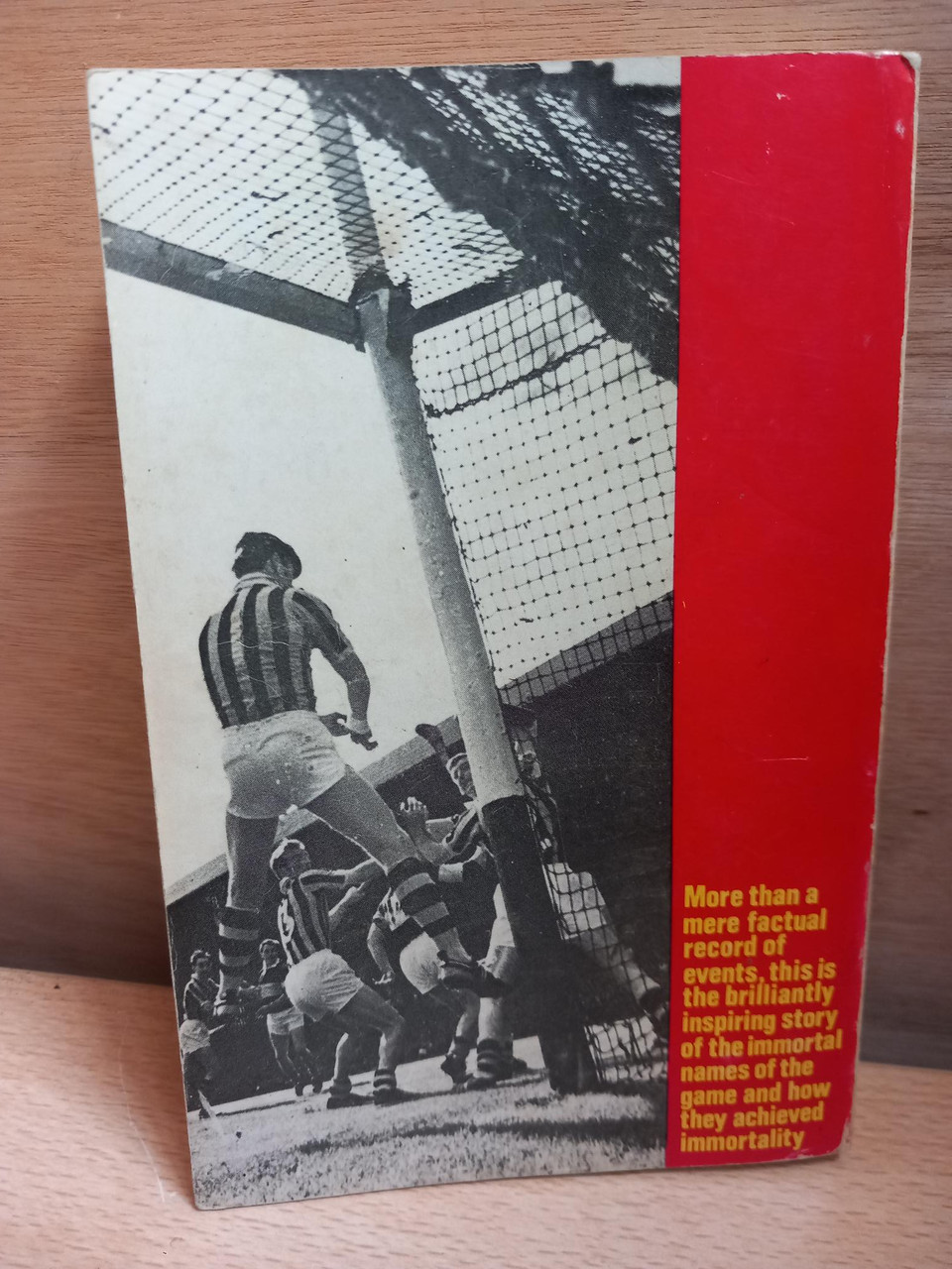 Raymond Smith - The Hurling Immortals - Vintage GAA PB 1969