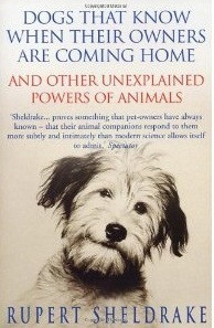 Rupert Sheldrake / Dogs That Know When Their Owners Are Coming Home & Other Unexplained Powers of Animals