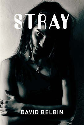 David Belbin / Stray