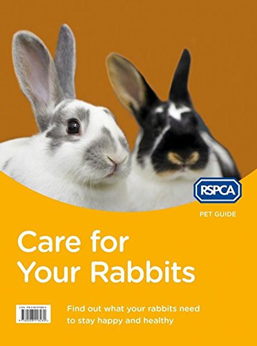 Care for Your Rabbits (Children's Coffee Table book)