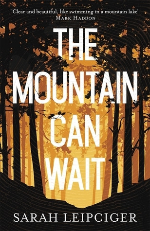 Sarah Leipciger /  The Mountain Can Wait (Hardback)