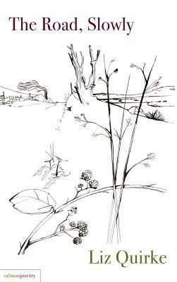 Liz Quirke / The Road, Slowly (Salmon Poetry) (Unused)