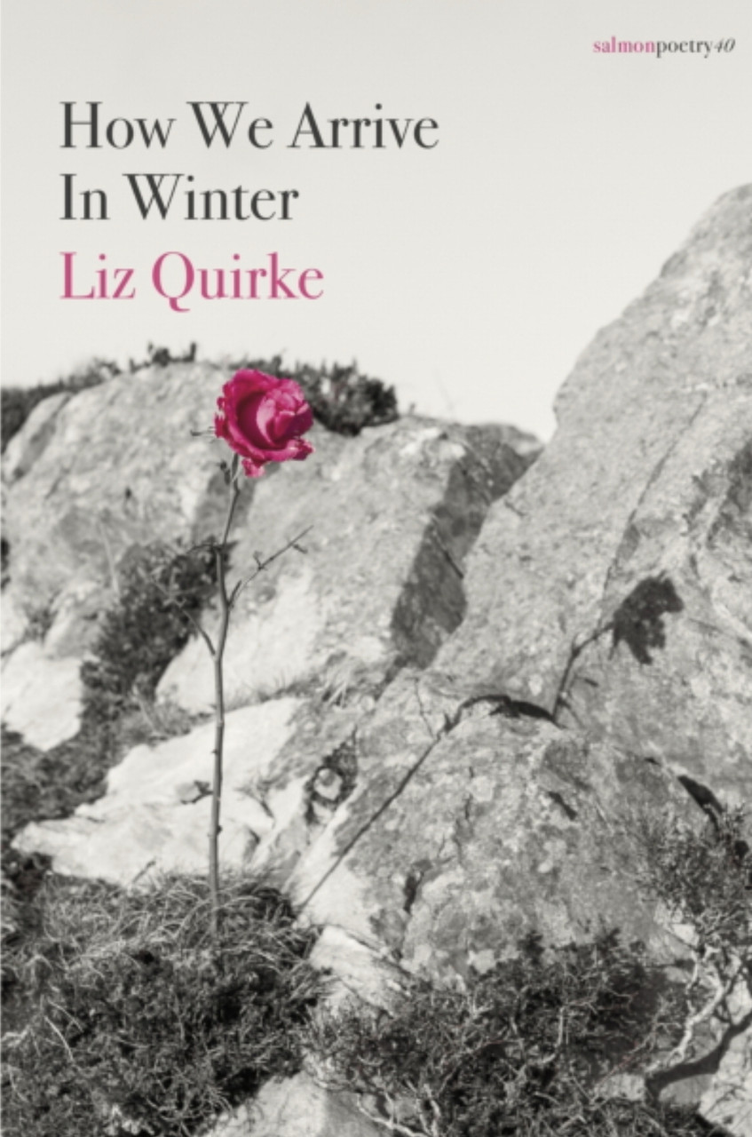 Liz Quirke / How We Arrive in Winter (Salmon Poetry) (Unused)