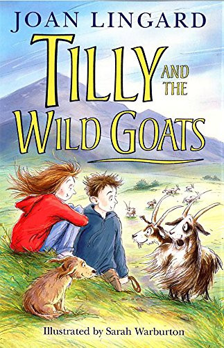 Joan Lingard / Tilly's Big Plan (Hardback)
