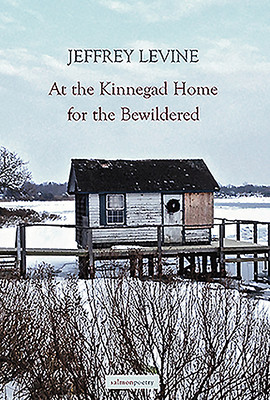 Jeffrey Levine / At the Kinnegad Home for the Bewildered (Salmon Poetry) (Unused)