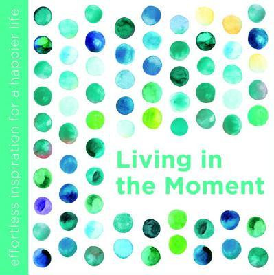 Dani DiPirro / Living in the Moment (Hardback)