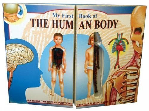 John H.R. Brook / My First Book of the Human Body (Children's Coffee Table book)