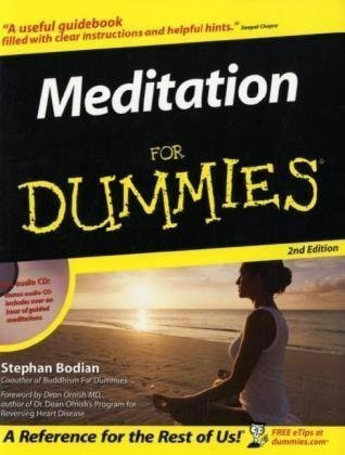 Stephan Bodian / Meditation For Dummies (Coffee Table Book)