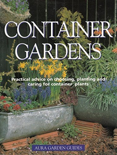Ilse Hoger-Orthner /  (Large Paperback)