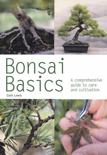 Colin Lewis / Bonsai Basics (Large Paperback)