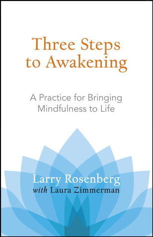 Larry Rosenberg / Three Steps to Awakening (Large Paperback)