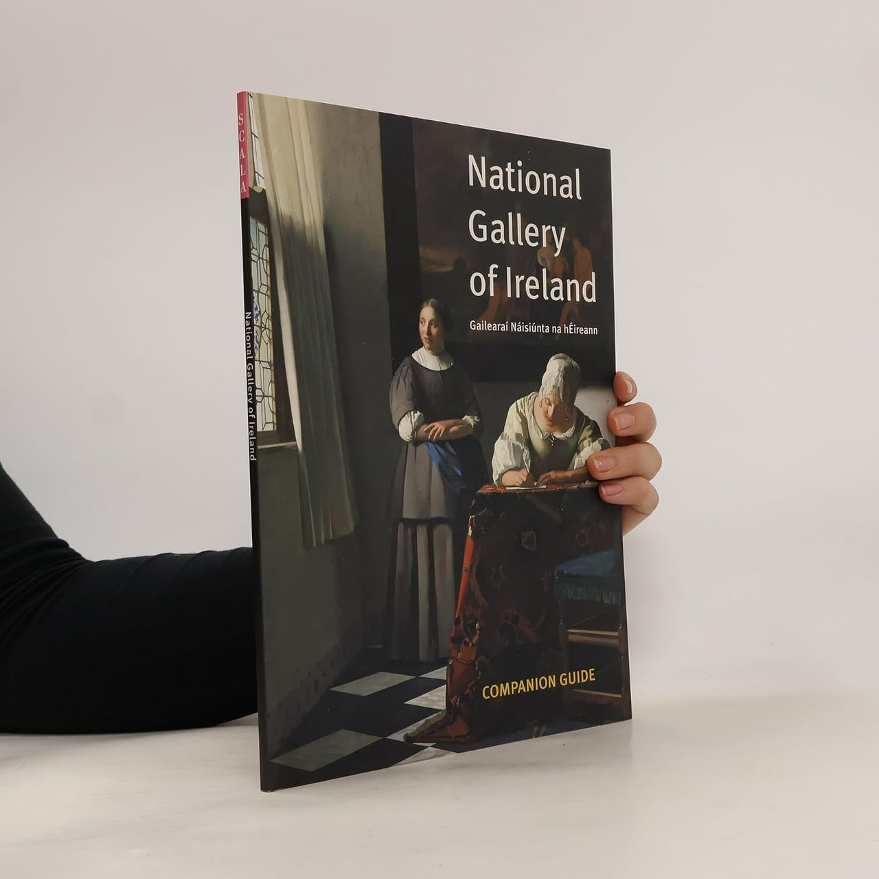 Sara Donaldson / National Gallery of Ireland (Coffee Table Book)