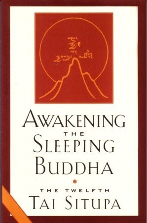 Tai Situpa / Awakening the Sleeping Buddha (Large Paperback)