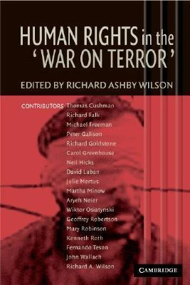Richard Ashby Wilson / Human Rights in the 'War on Terror' (Large Paperback)