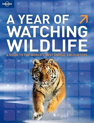 Lonely Planet / A Year of Watching Wildlife (Coffee Table Book)