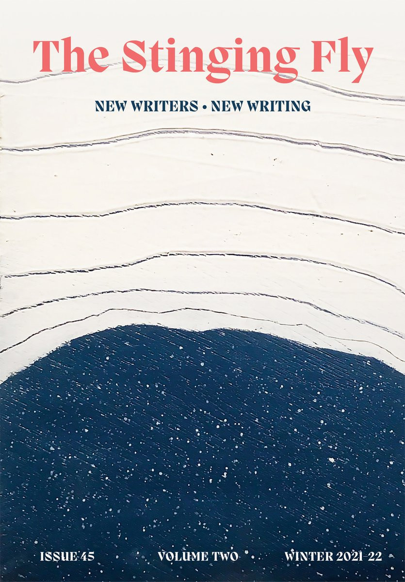 Danny Denton / The Stinging Fly Issue 45/Volume Two Winter 2021-22 (Coffee Table Book)