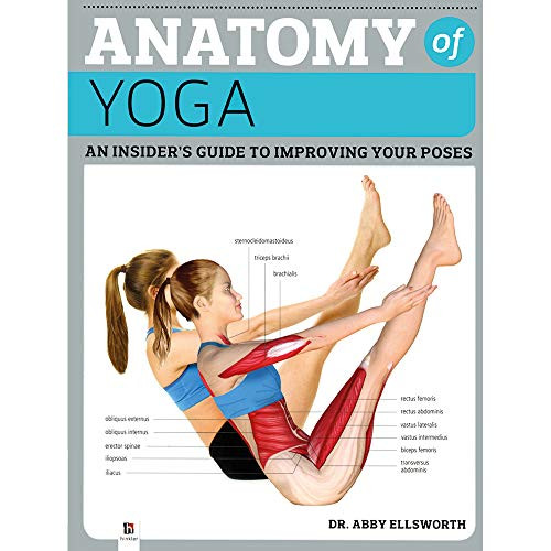 Abby Dr Ellsworth / Anatomy of Yoga (Coffee Table Book)
