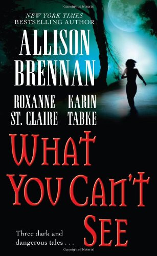 Allison Brennan / What You Can't See