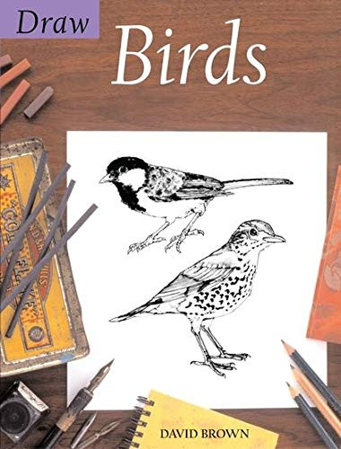 David Brown / Draw Birds (Coffee Table Book)